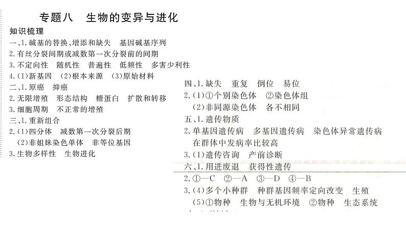 2024届高考生物一轮复习：专题八 变异与进化课件PPT第2页