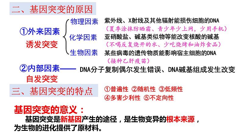 2024届高考生物一轮复习：专题八 变异与进化课件PPT第7页