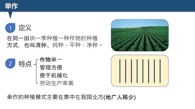 2025届高三生物一轮深度复习：微专题5 间作与套种课件PPT第2页