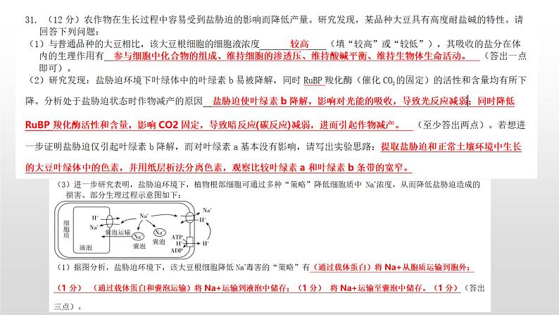 山西省太原市2023年高三一模生物试题主观题评分细则与答题规范课件PPT第3页