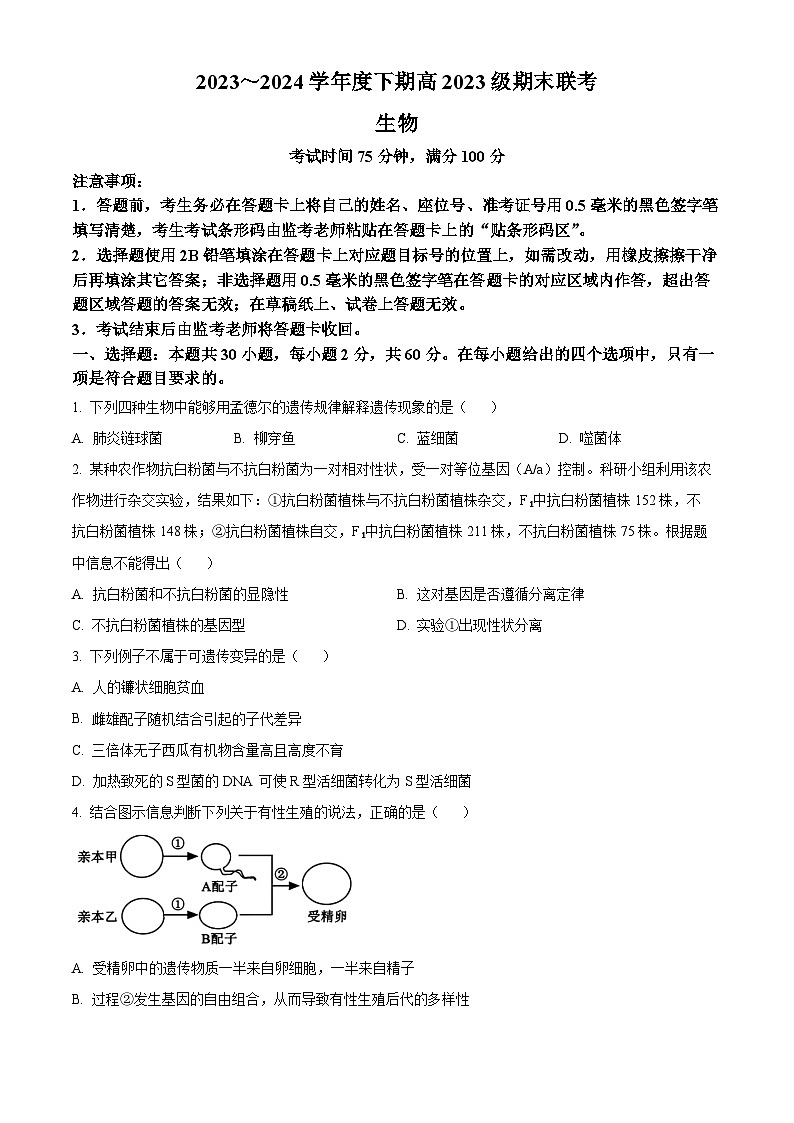 四川省乐山市峨眉第二中学校2023-2024学年高一下学期期末考试生物试题（原卷版+解析版）01