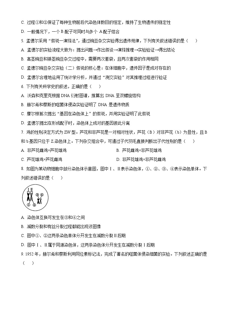 四川省乐山市峨眉第二中学校2023-2024学年高一下学期期末考试生物试题（原卷版+解析版）02
