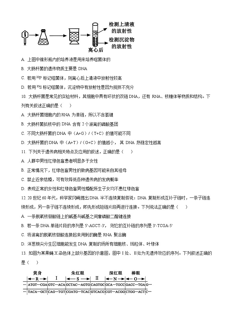 四川省乐山市峨眉第二中学校2023-2024学年高一下学期期末考试生物试题（原卷版+解析版）03
