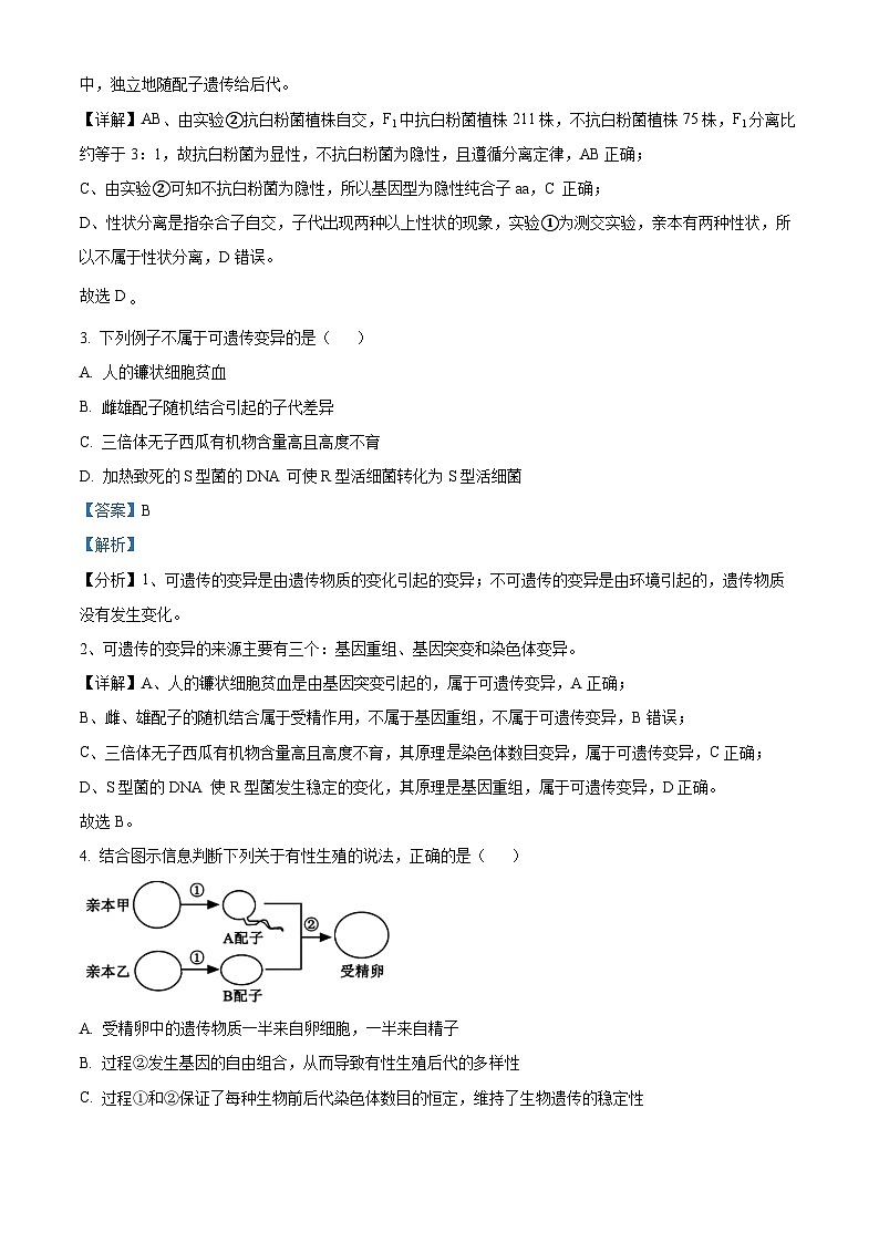 四川省乐山市峨眉第二中学校2023-2024学年高一下学期期末考试生物试题（原卷版+解析版）02