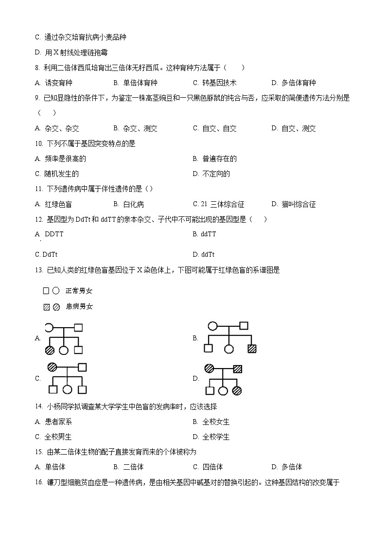 江苏省射阳县陈洋中学2023-2024学年高一下学期期末考试生物试题（原卷版+解析版）02