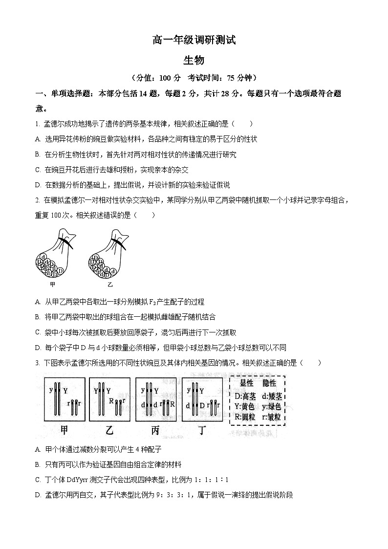 江苏省宿迁市泗阳县2023-2024学年高一下学期6月期末生物试题（原卷版+解析版）01