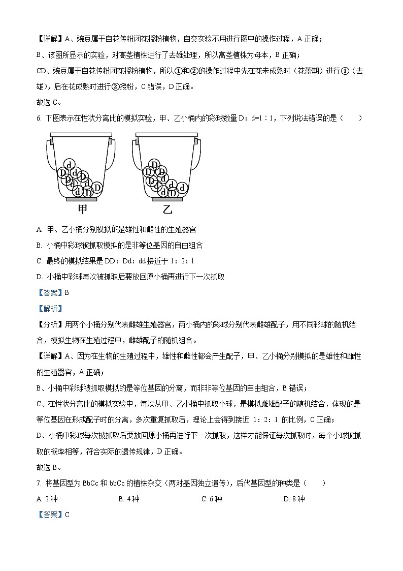 江苏省无锡市滨湖区无锡市第一中学2023-2024学年高一下学期6月期末生物试题（原卷版+解析版）03