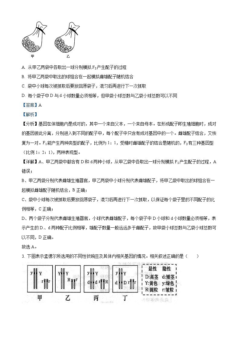 江苏省宿迁市2023-2024学年高一下学期6月期末生物试题（原卷版+解析版）02