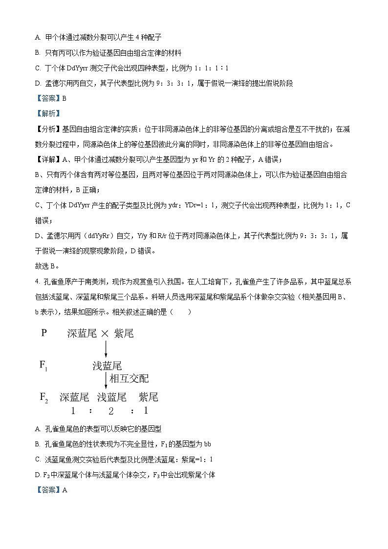 江苏省宿迁市2023-2024学年高一下学期6月期末生物试题（原卷版+解析版）03