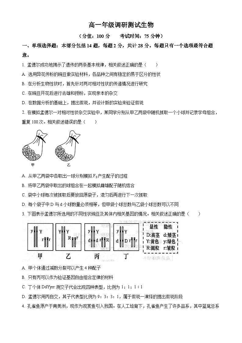 江苏省宿迁市2023-2024学年高一下学期6月期末生物试题（原卷版+解析版）01
