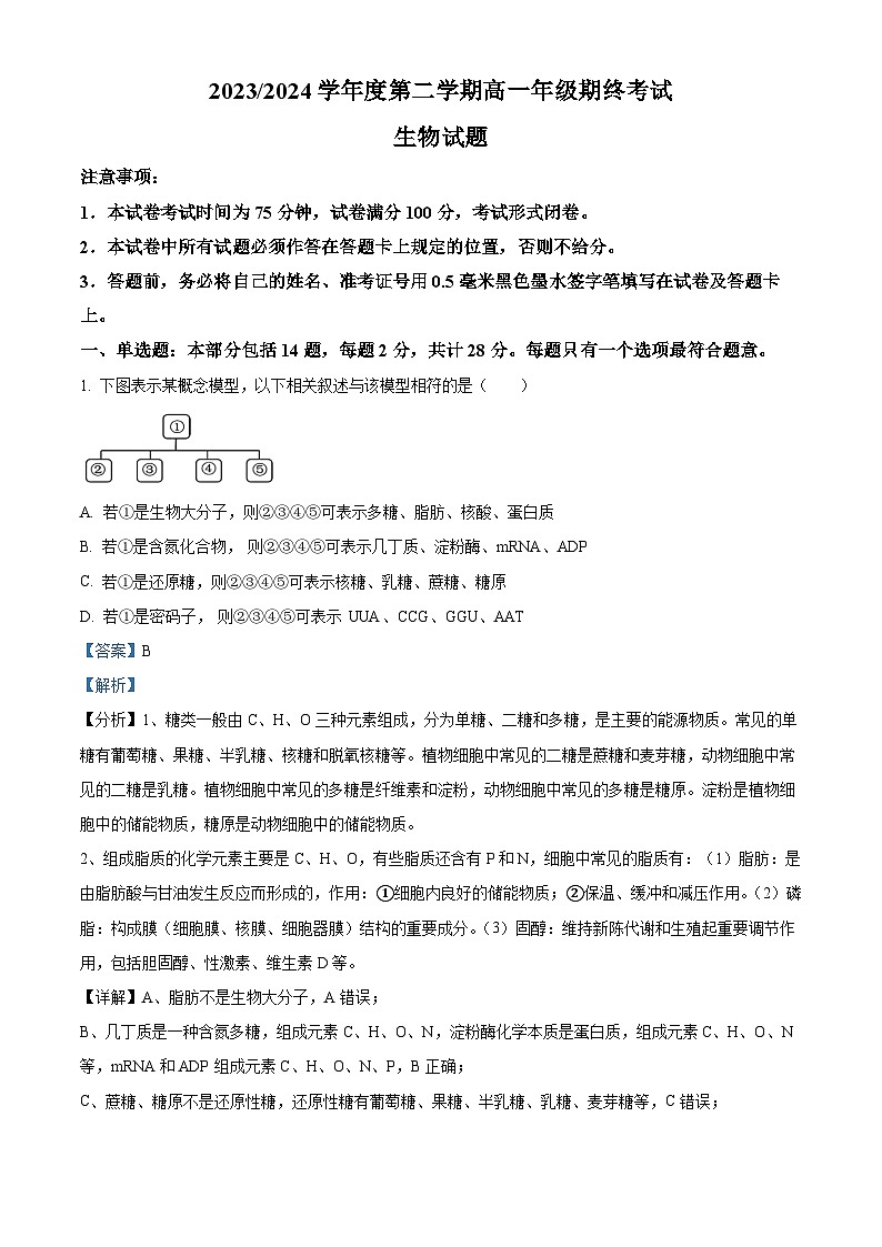 江苏省盐城市2023-2024学年高一下学期6月期末生物试题（原卷版+解析版）01