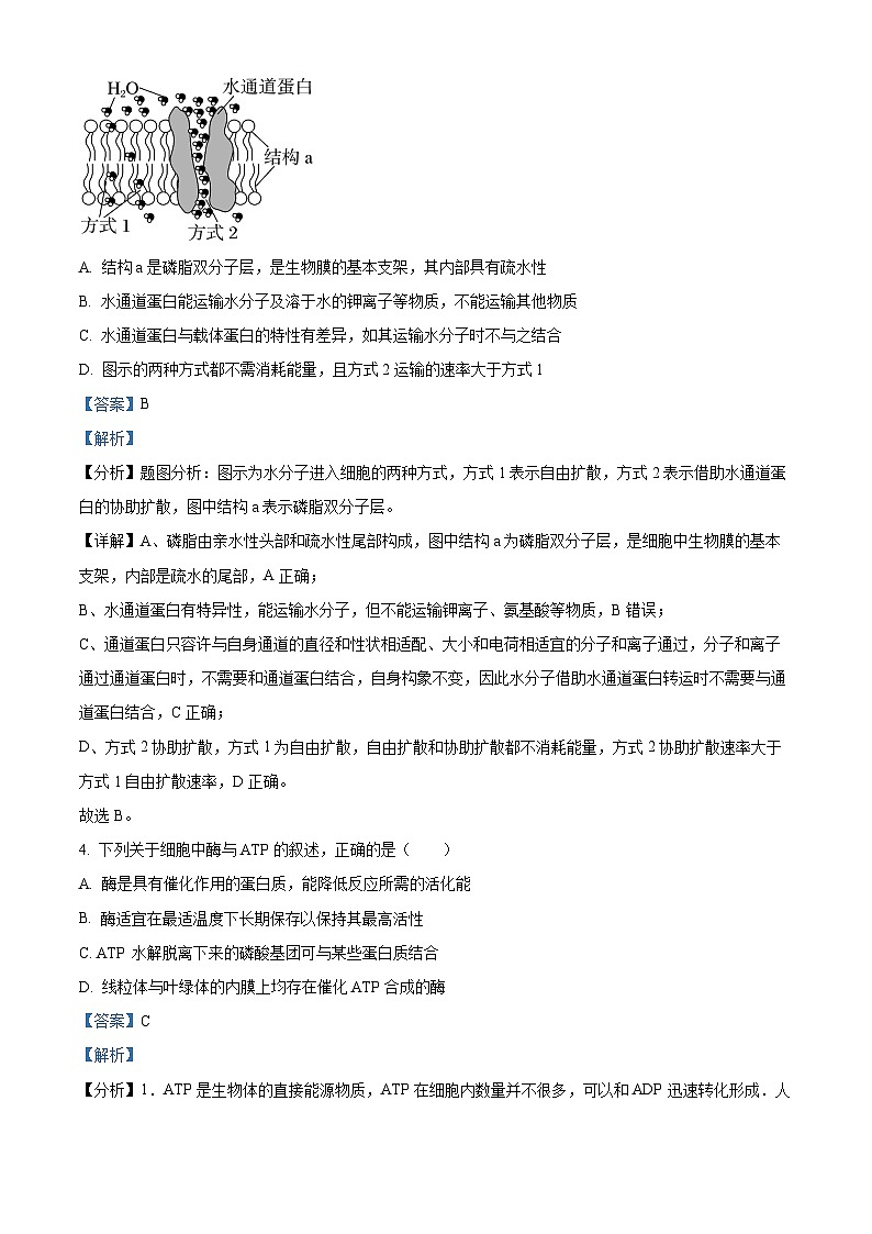 江苏省盐城市2023-2024学年高一下学期6月期末生物试题（原卷版+解析版）03