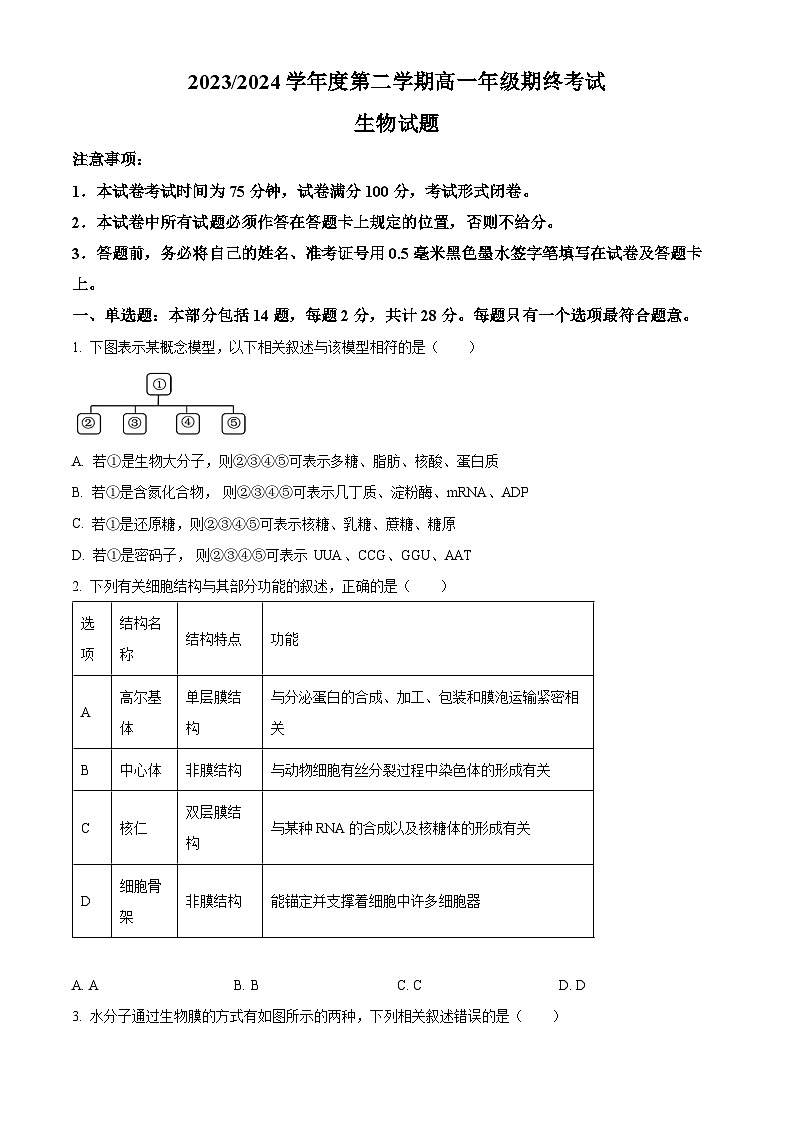 江苏省盐城市2023-2024学年高一下学期6月期末生物试题（原卷版+解析版）01