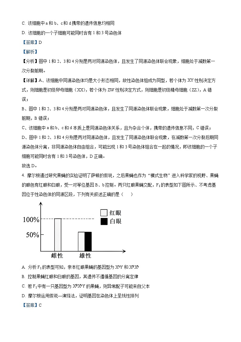 河南省南阳市南阳六校联考2023-2024学年高一下学期6月期末生物试题（原卷版+解析版）03
