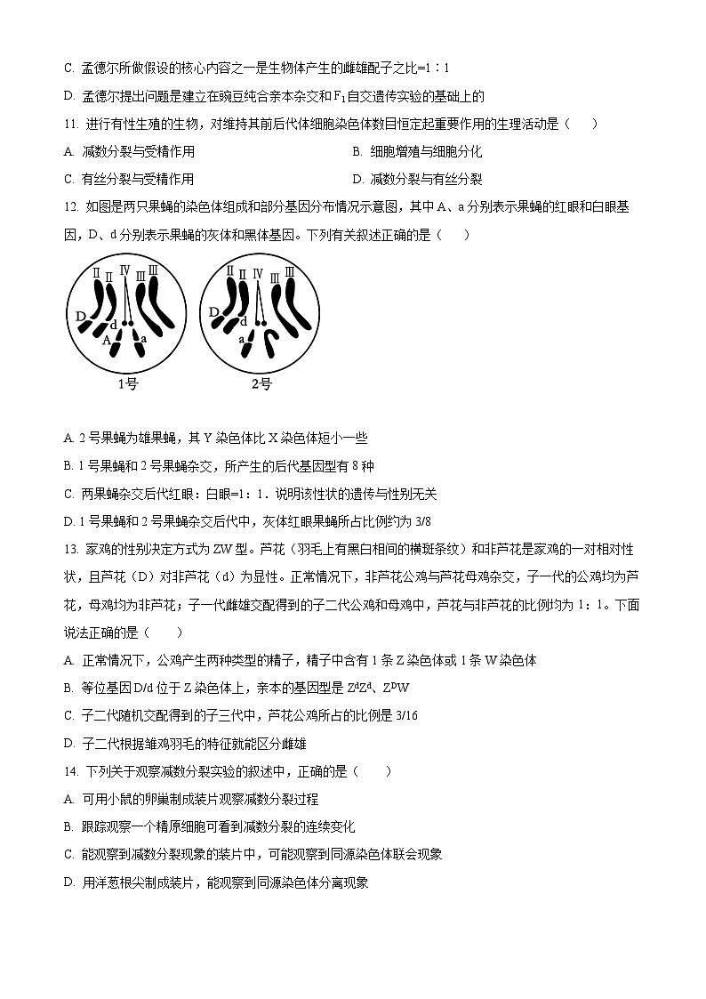 四川省遂宁市射洪市四川省射洪中学校2023-2024学年高一下学期6月期末生物试题（原卷版+解析版）03