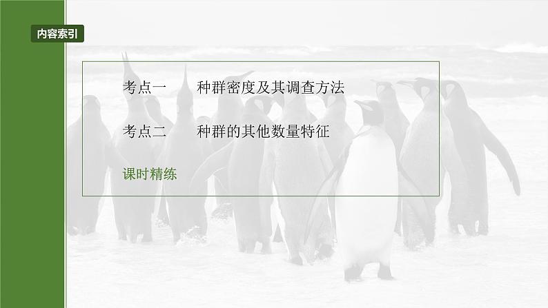 第九单元　第47课时　种群的数量特征-2025年高考生物大一轮复习课件03