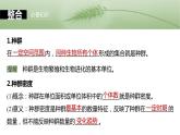 第九单元　第47课时　种群的数量特征-2025年高考生物大一轮复习课件