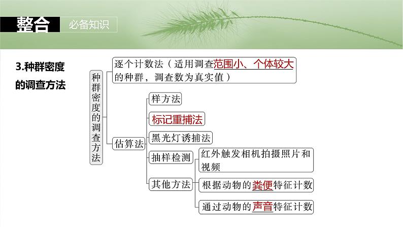 第九单元　第47课时　种群的数量特征-2025年高考生物大一轮复习课件06