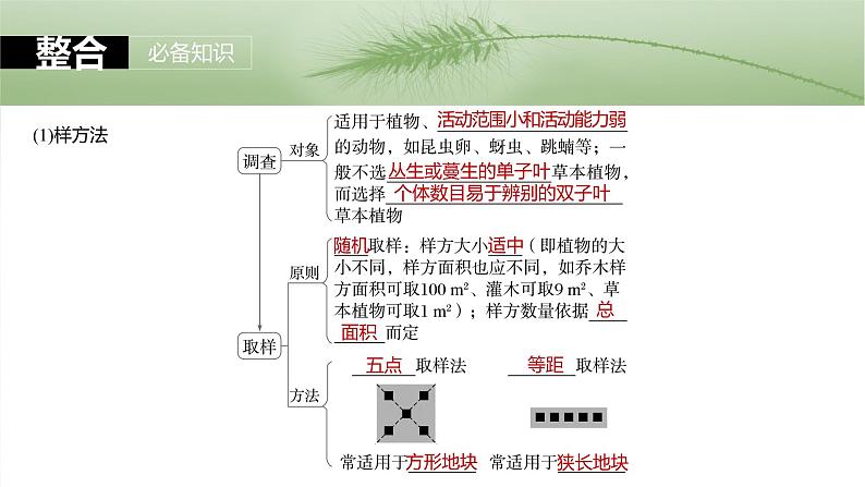 第九单元　第47课时　种群的数量特征-2025年高考生物大一轮复习课件07