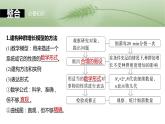 第九单元　第48课时　种群数量的变化及其影响因素-2025年高考生物大一轮复习课件