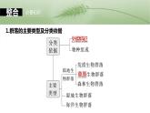 第九单元　第50课时　群落的主要类型及演替-2025年高考生物大一轮复习课件