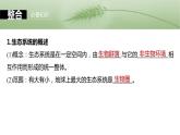 第九单元　第51课时　生态系统的结构-2025年高考生物大一轮复习课件