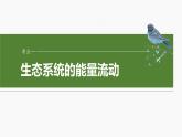 第九单元　第52课时　生态系统的能量流动-2025年高考生物大一轮复习课件