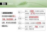 第九单元　第52课时　生态系统的能量流动-2025年高考生物大一轮复习课件
