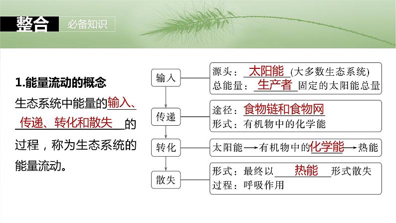 第九单元　第52课时　生态系统的能量流动-2025年高考生物大一轮复习课件05