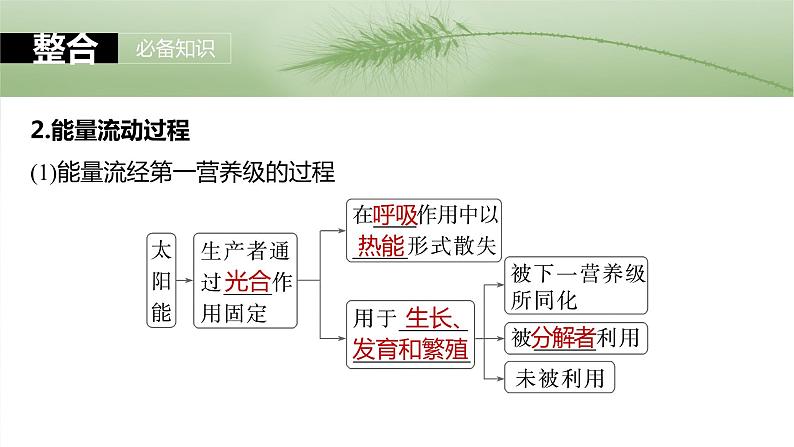 第九单元　第52课时　生态系统的能量流动-2025年高考生物大一轮复习课件06