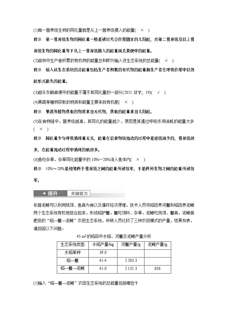 第九单元　第52课时　生态系统的能量流动-2025年高考生物大一轮复习课件03