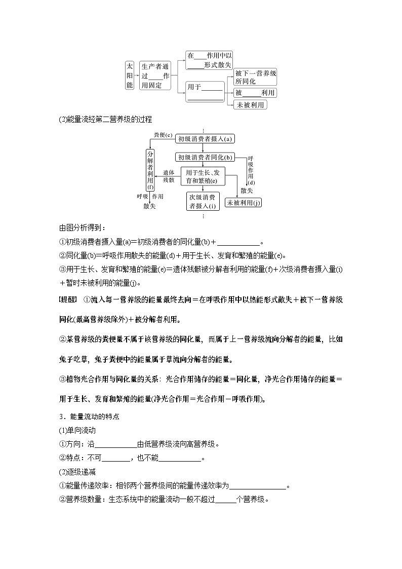 第九单元　第52课时　生态系统的能量流动-2025年高考生物大一轮复习课件02