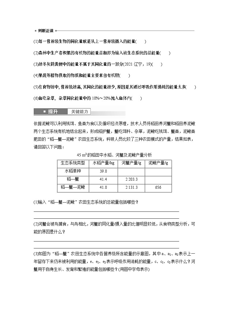 第九单元　第52课时　生态系统的能量流动-2025年高考生物大一轮复习课件03
