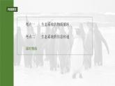 第九单元　第53课时　生态系统的物质循环、信息传递-2025年高考生物大一轮复习课件