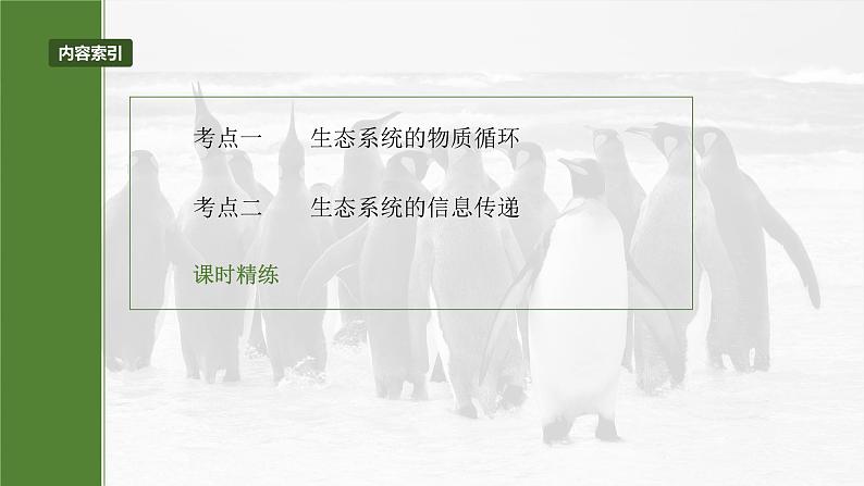 第九单元　第53课时　生态系统的物质循环、信息传递-2025年高考生物大一轮复习课件03