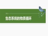 第九单元　第53课时　生态系统的物质循环、信息传递-2025年高考生物大一轮复习课件