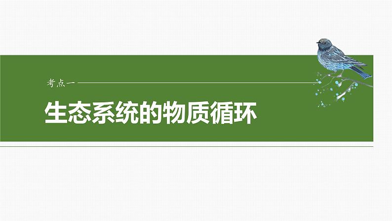 第九单元　第53课时　生态系统的物质循环、信息传递-2025年高考生物大一轮复习课件04