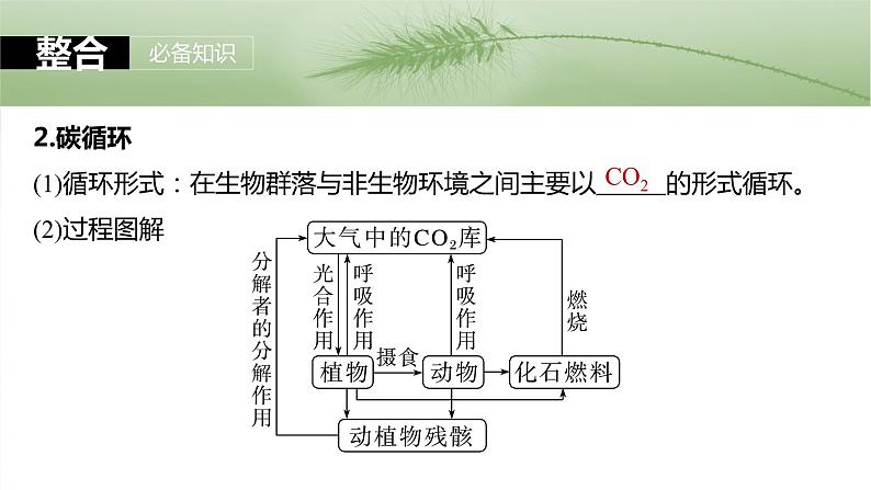 第九单元　第53课时　生态系统的物质循环、信息传递-2025年高考生物大一轮复习课件06