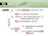 第九单元　第54课时　生态系统的稳定性-2025年高考生物大一轮复习课件