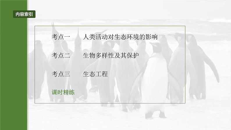 第九单元　第55课时　人与环境-2025年高考生物大一轮复习课件03