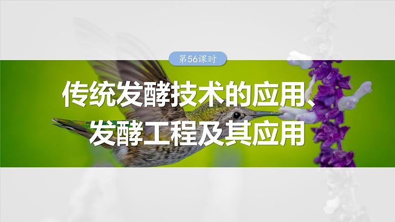 第十单元　第56课时　传统发酵技术的应用、发酵工程及其应用-2025年高考生物大一轮复习课件01