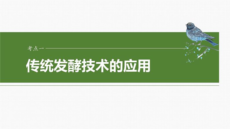 第十单元　第56课时　传统发酵技术的应用、发酵工程及其应用-2025年高考生物大一轮复习课件04