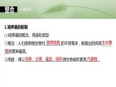 第十单元　第57课时　微生物的培养技术与应用-2025年高考生物大一轮复习课件