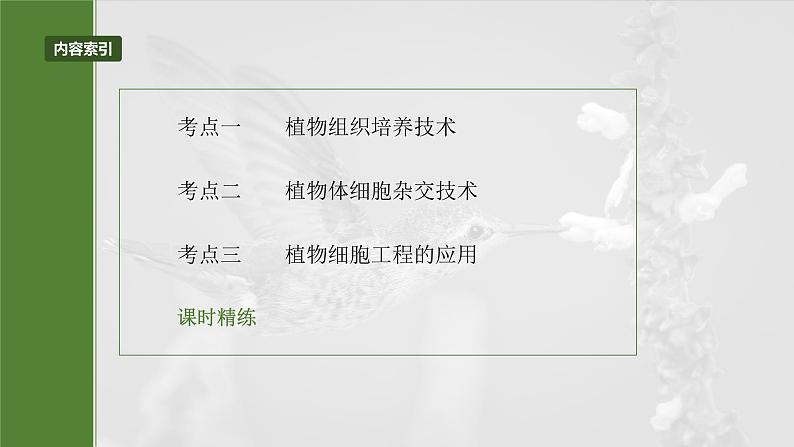 第十单元　第58课时　植物细胞工程第3页