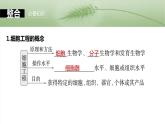 第十单元　第58课时　植物细胞工程-2025年高考生物大一轮复习课件