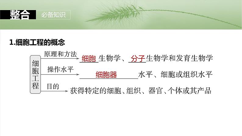第十单元　第58课时　植物细胞工程第5页