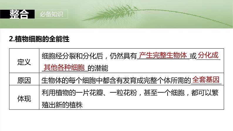 第十单元　第58课时　植物细胞工程第6页