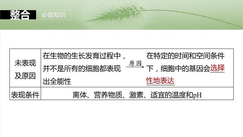 第十单元　第58课时　植物细胞工程第7页