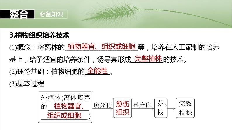 第十单元　第58课时　植物细胞工程第8页