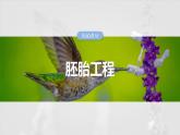 第十单元　第60课时　胚胎工程-2025年高考生物大一轮复习课件